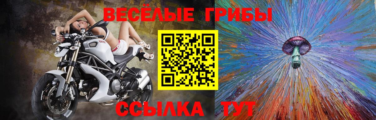 Галлюциногенные грибы Cubensis  Галлюциногенные грибы MAGIC MUSHROOMS  Вход с VPN  Корсаков 