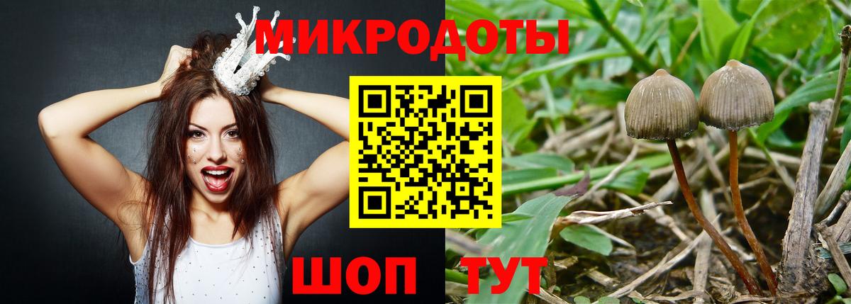 Галлюциногенные грибы Psilocybine cubensis Корсаков